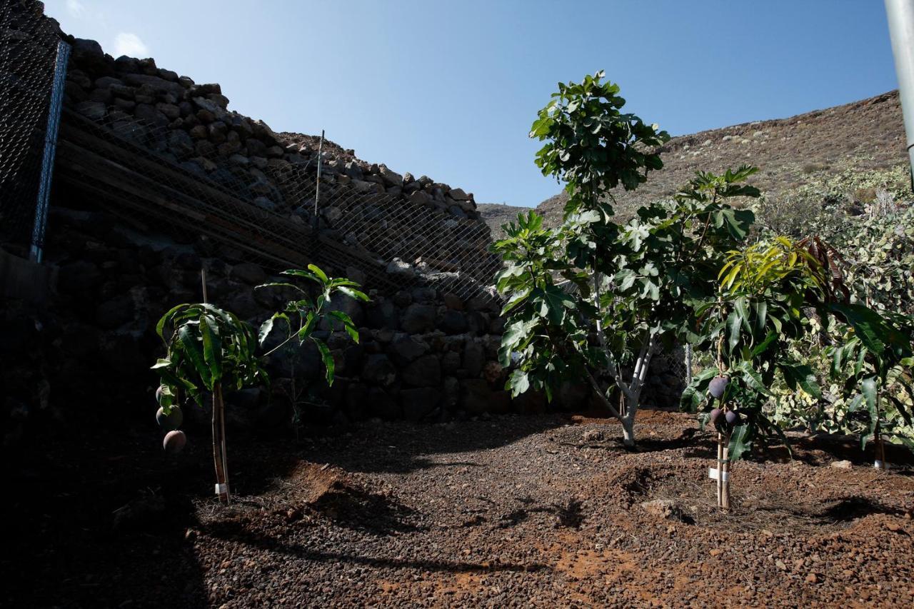 Candelaria'S Mountain House Exterior foto